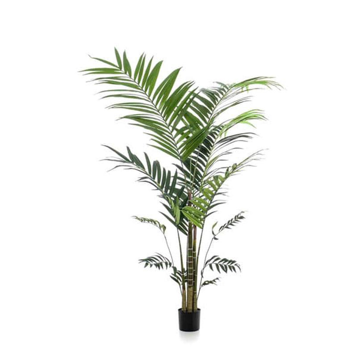 Artificial Kentia Palm 210cm