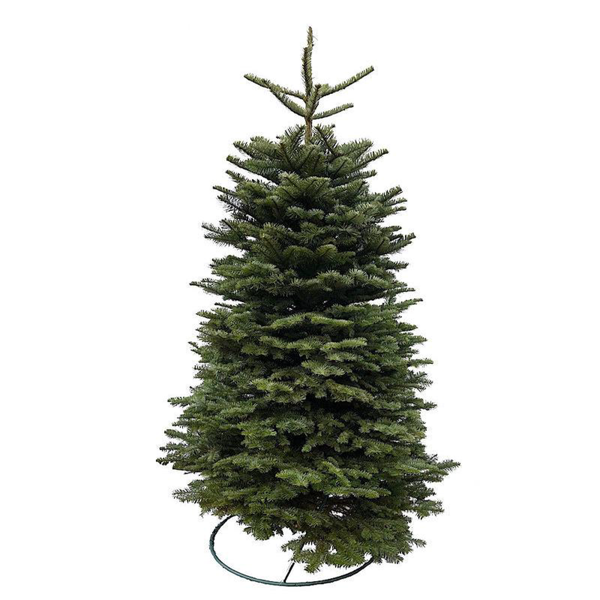 Christmas Tree 9 Feet White Heavy