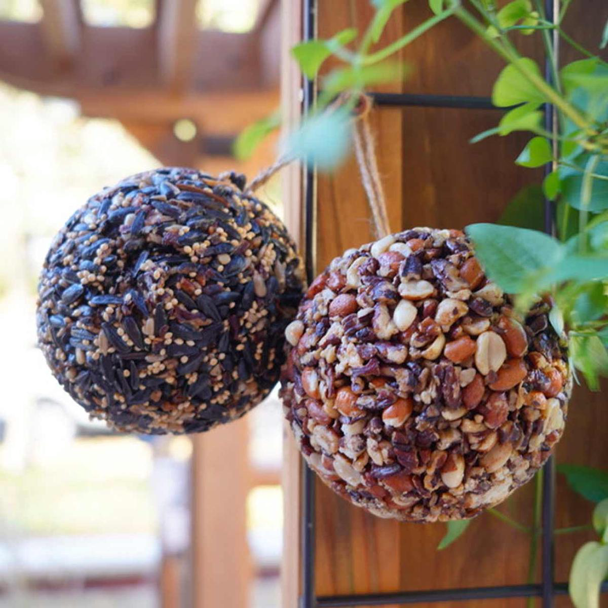 Mr Bird Nut 038 Seed Ornament