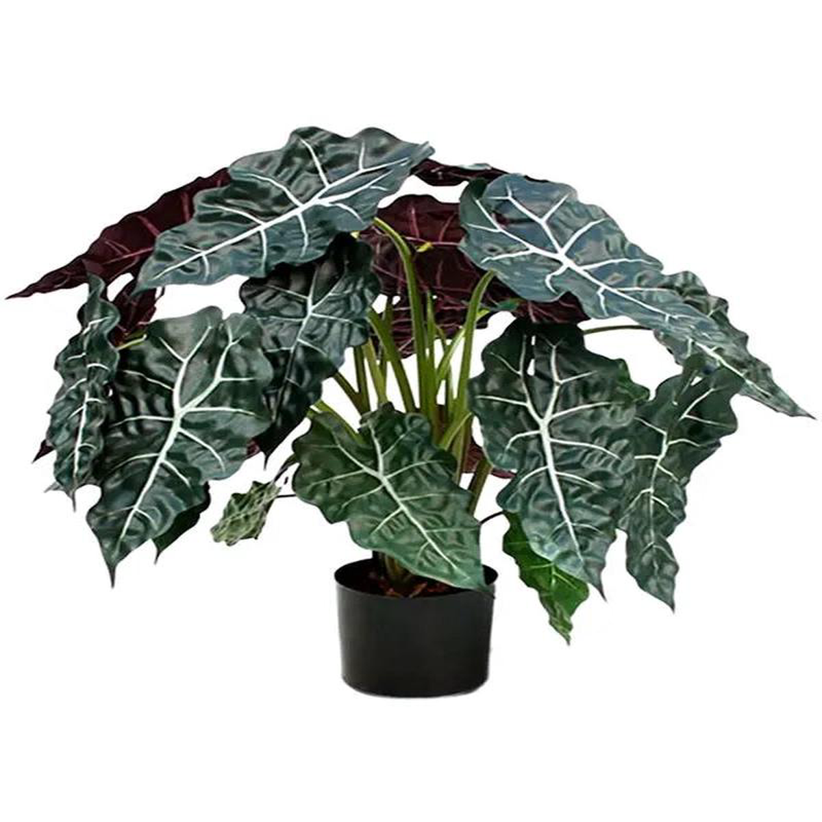 Alocasia Polly Artificial Plant Premium Faux 75cm Height