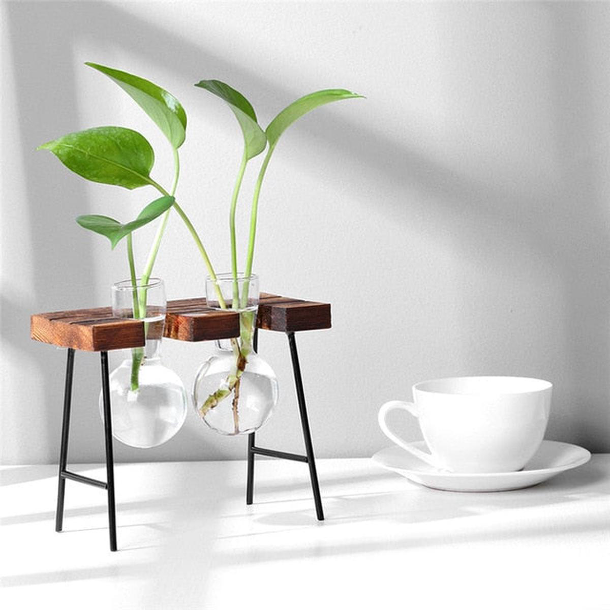 Glass and Wood Vase Planter 8211 Style 5