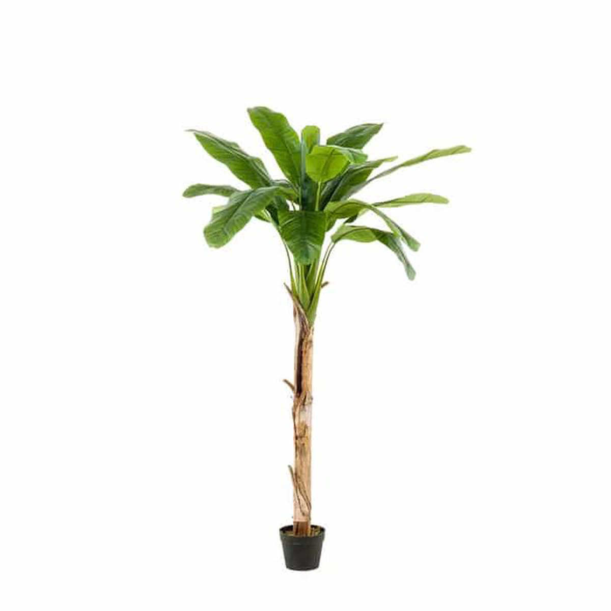 Artificial Banana Tree 180cm
