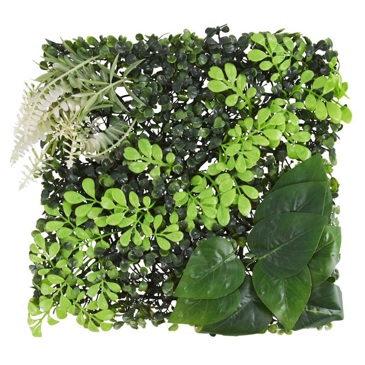 Reptile Treasures Plant Mat C 108221x108221