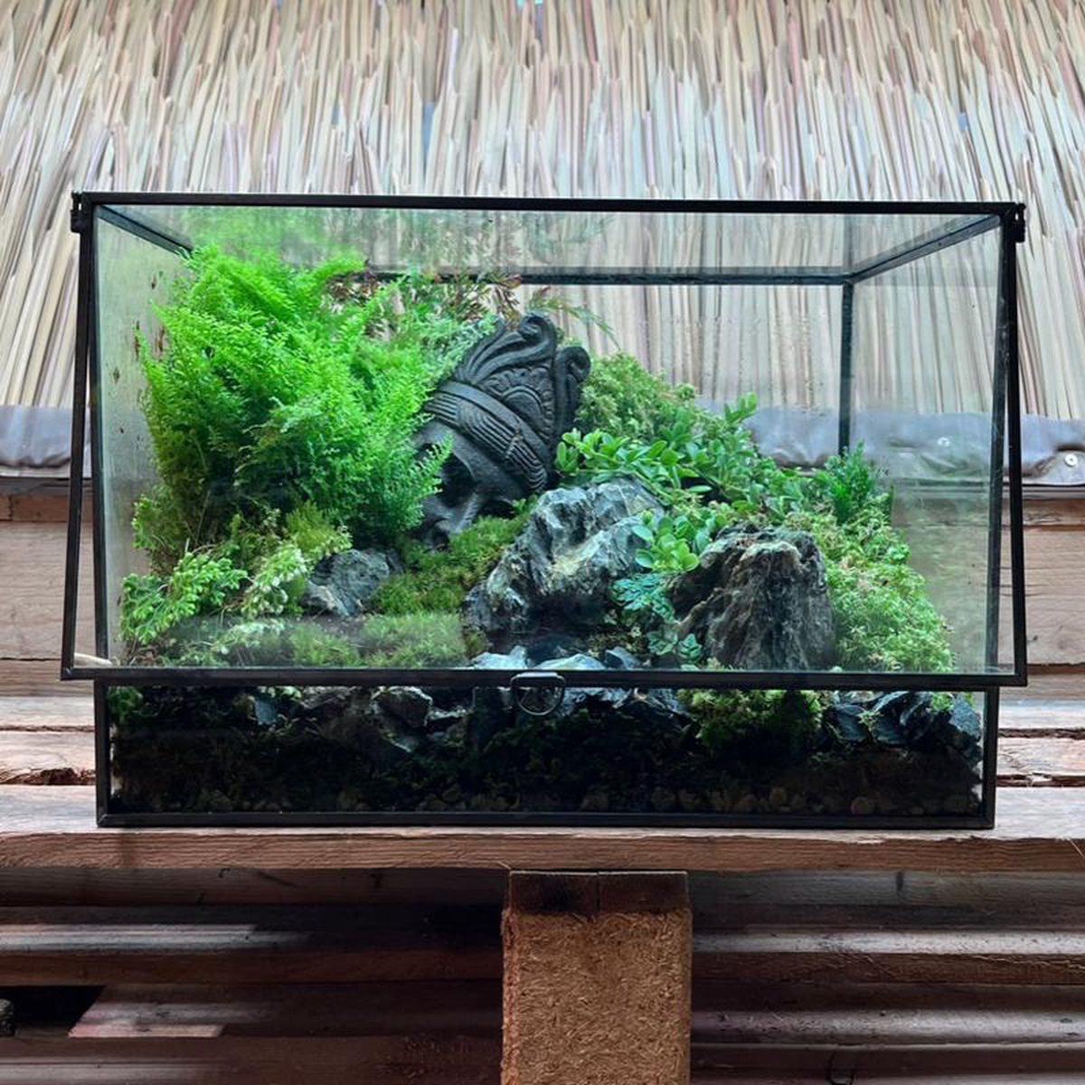 CUSTOM DESIGN Terrarium (Geometric Front Flap 36x26x26cm)