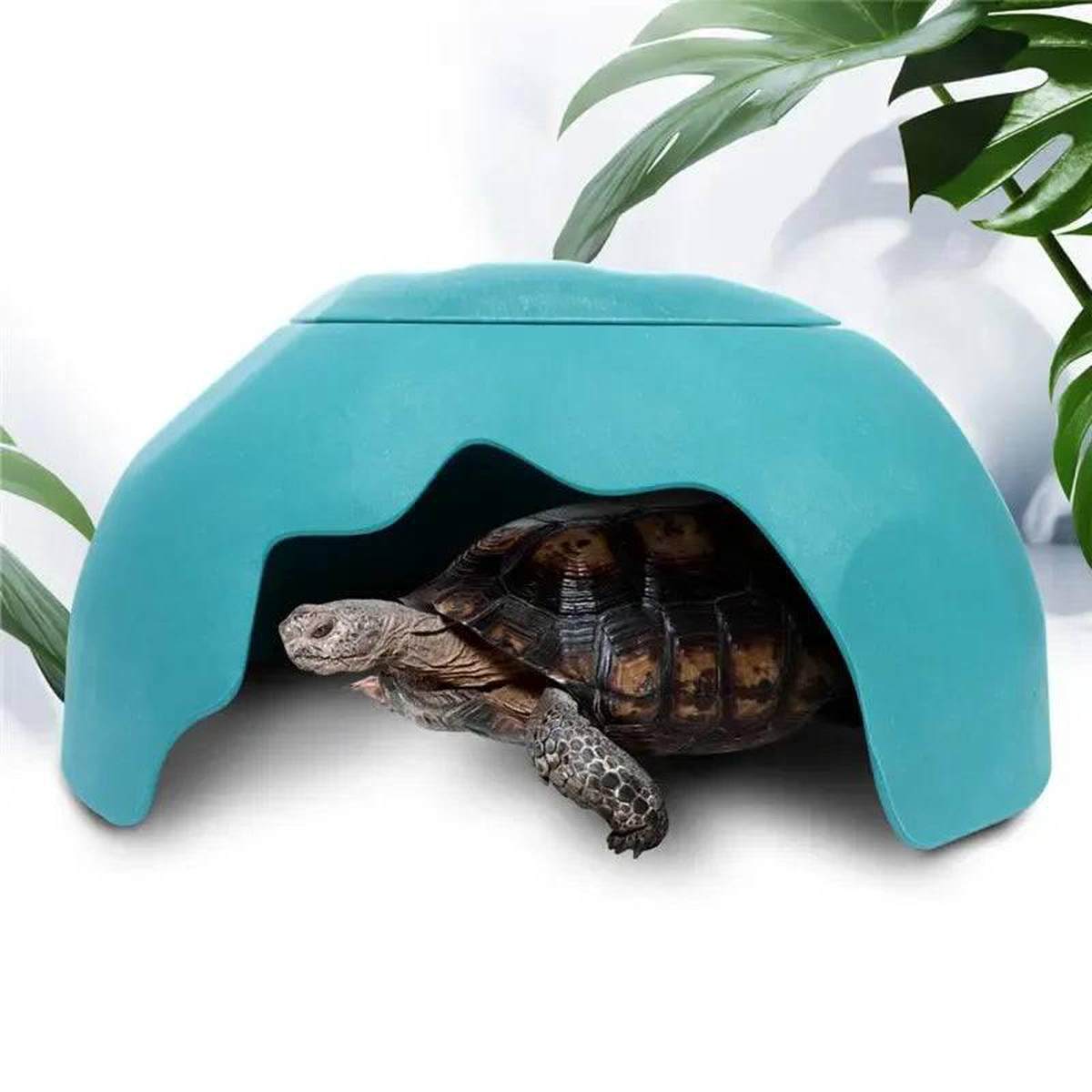 40cm Reptile Humidification Hide Cave Assorted Colours