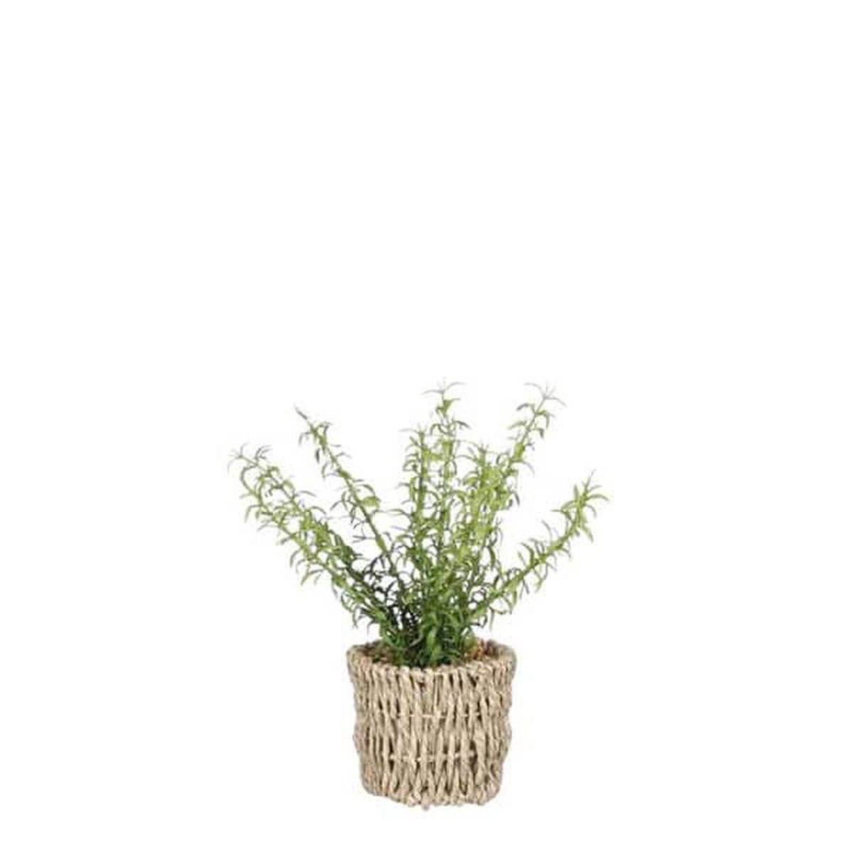 Artificial Asparagus Green in Basket H26xd10cm