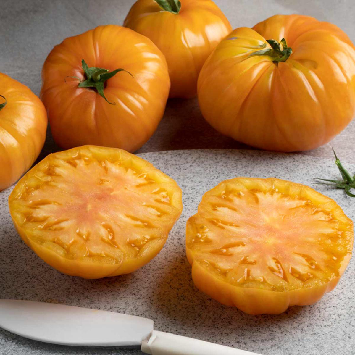 Organic Dr Wyches Yellow Tomato (Solanum lycopersicum) Indeterminate