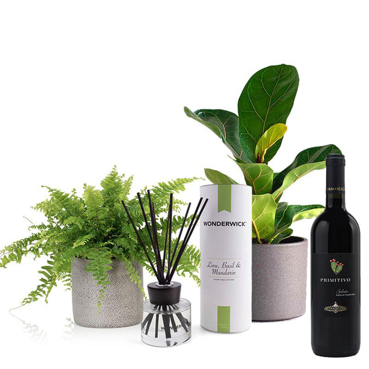 Rooting for You Gift Pack