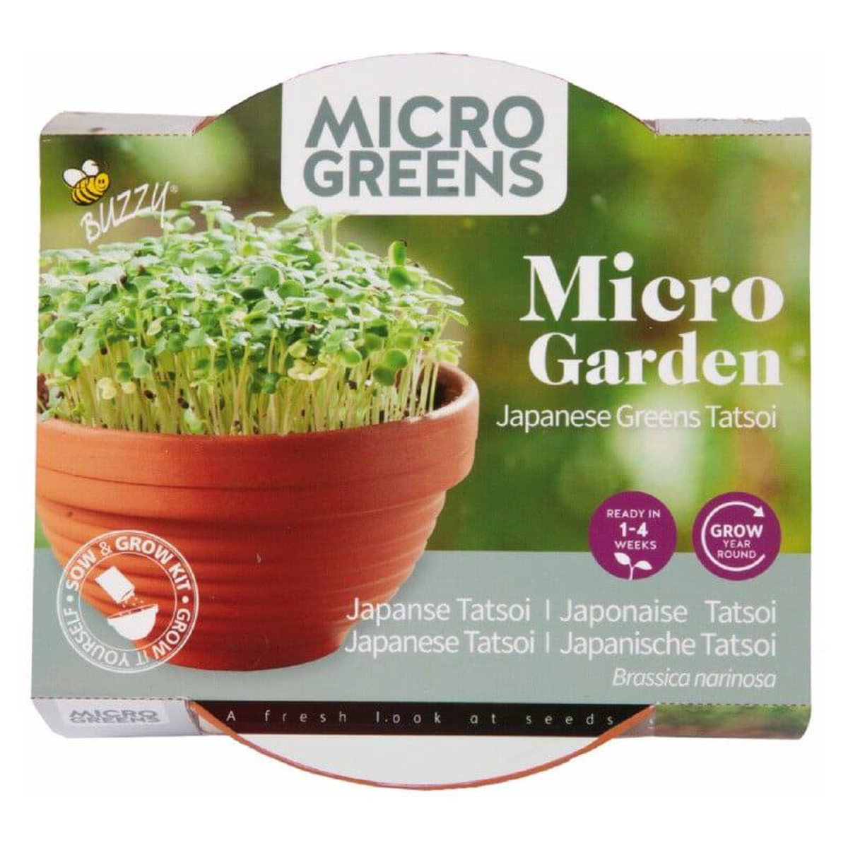 Buzzy Microgreens Terracotta bowl Tatsoi