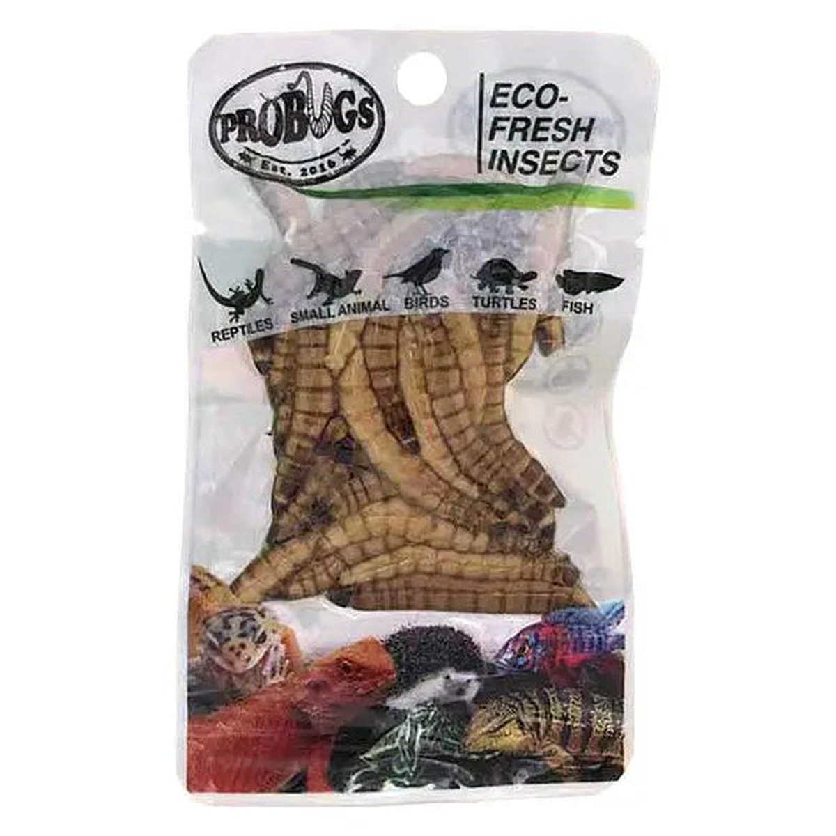 ProBugs Eco Fresh Superworms 20g