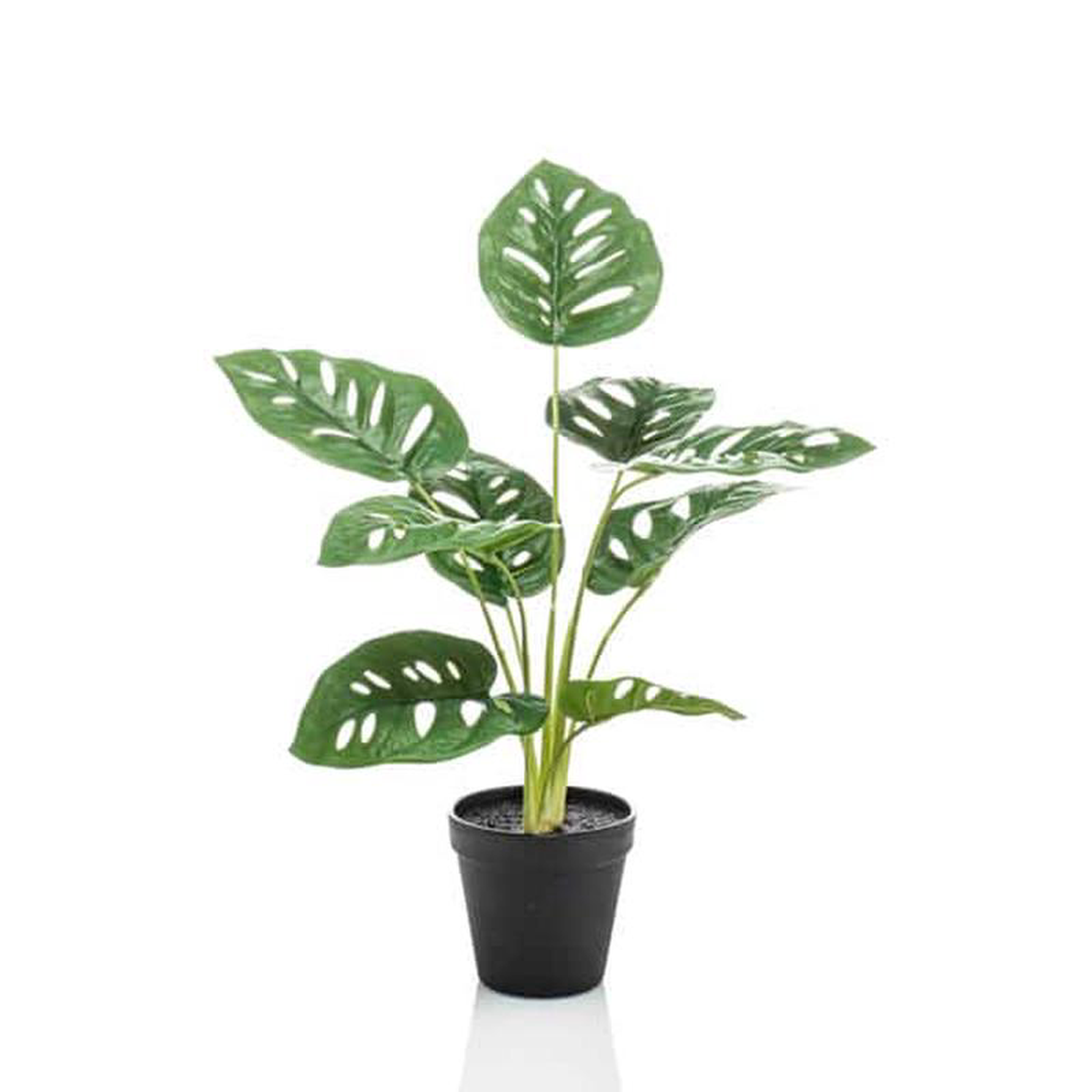 Artificial Monstera Monkey Bush 43cm in Pot