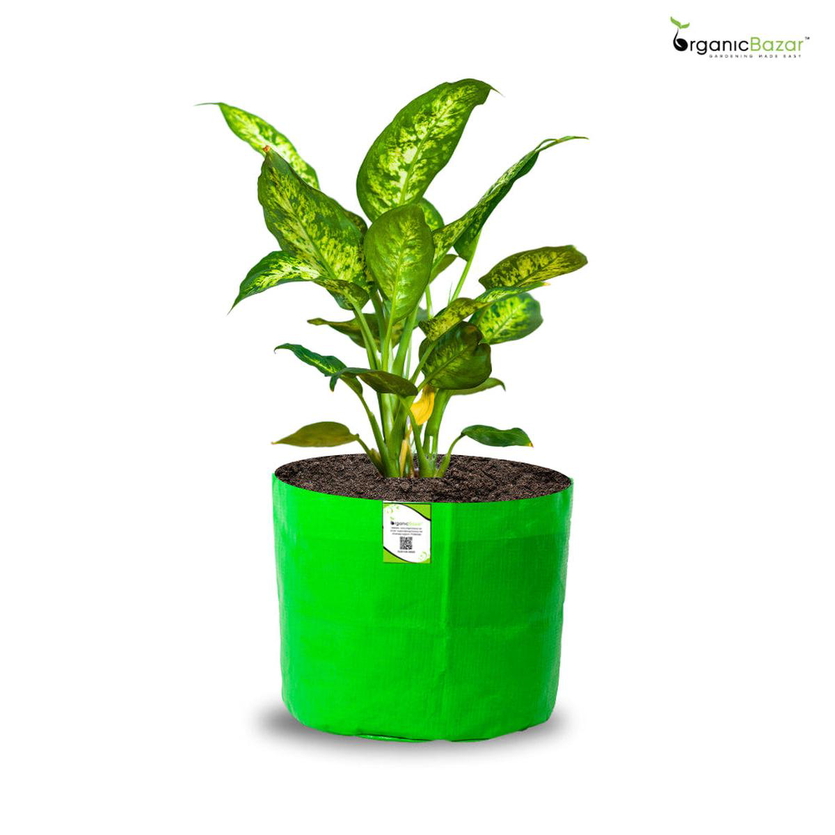 OrganicBazar 52155 Small Size Grow Bag for Nursery Plants Premium HDPE 260 GSM Green Plant Bags 8211 Pack of 1