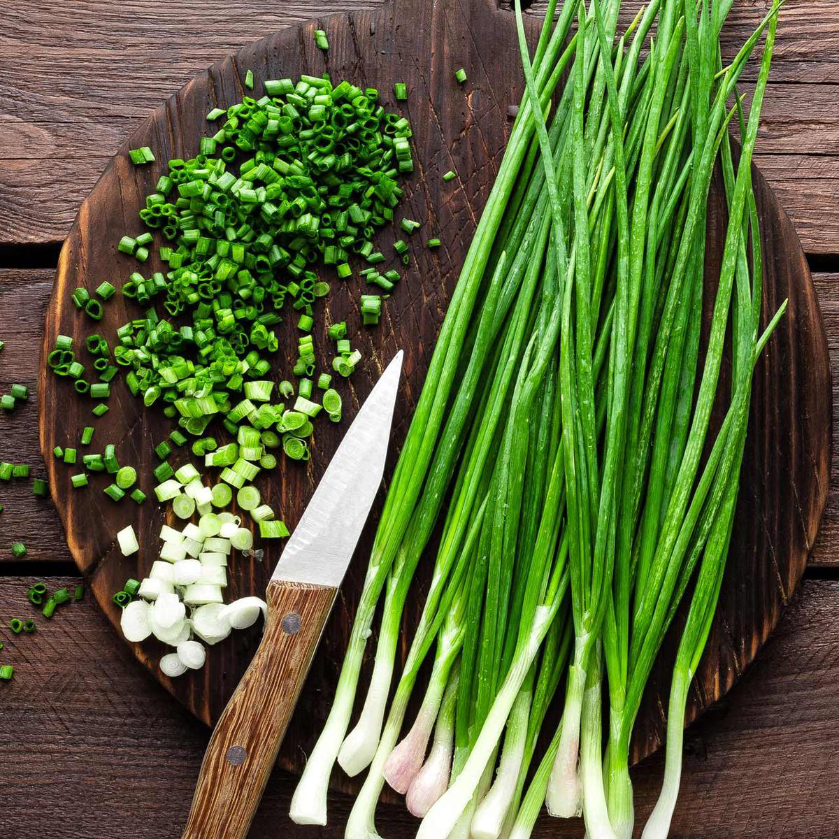 Heshiko Bunching Onion (Allium fistulosum)