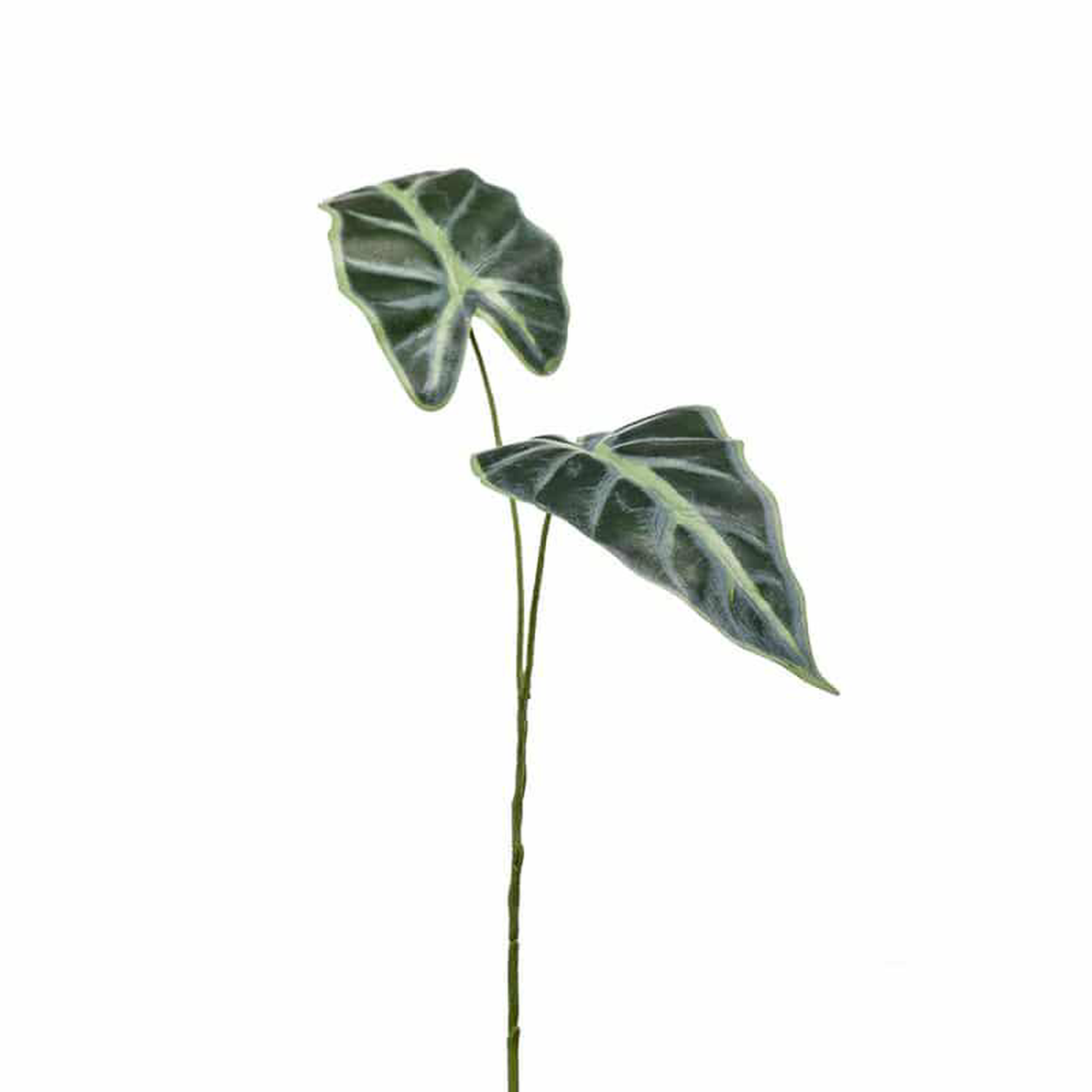 ArtificialAlocasia Leaf 55cm