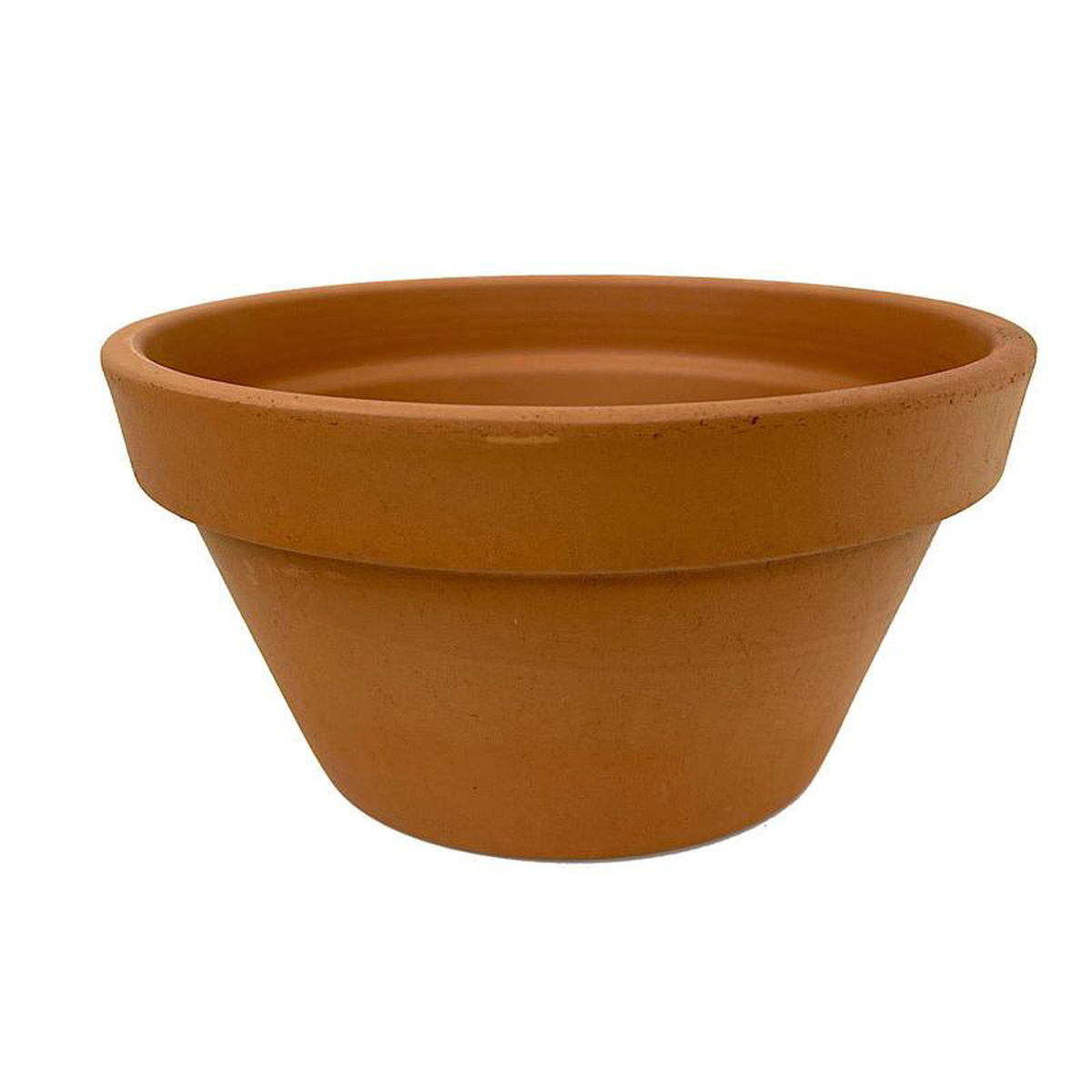 Azalea Terracotta Pot 12 Inch