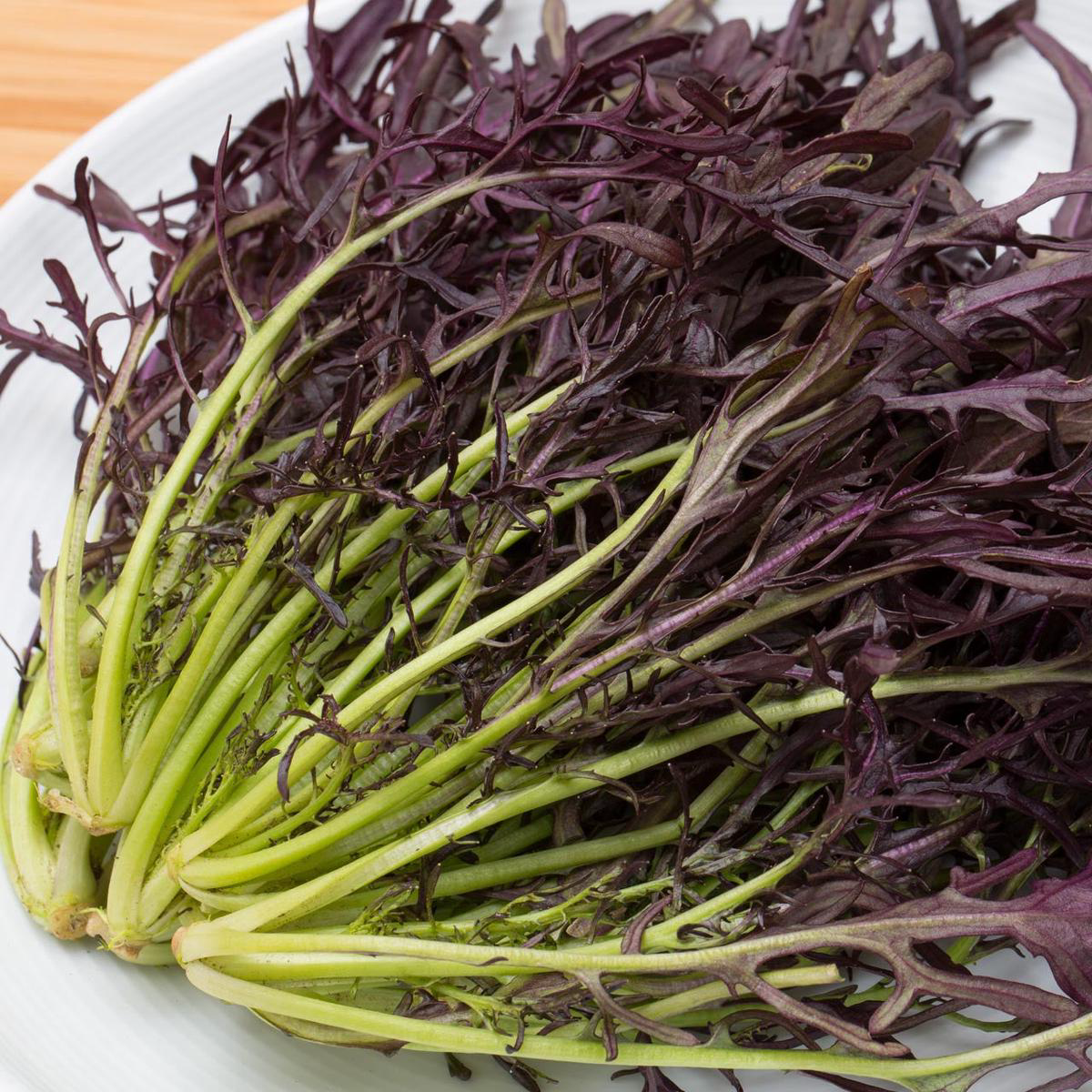 Organic Purple Mizuna Mustard Greens (Brassica juncea)