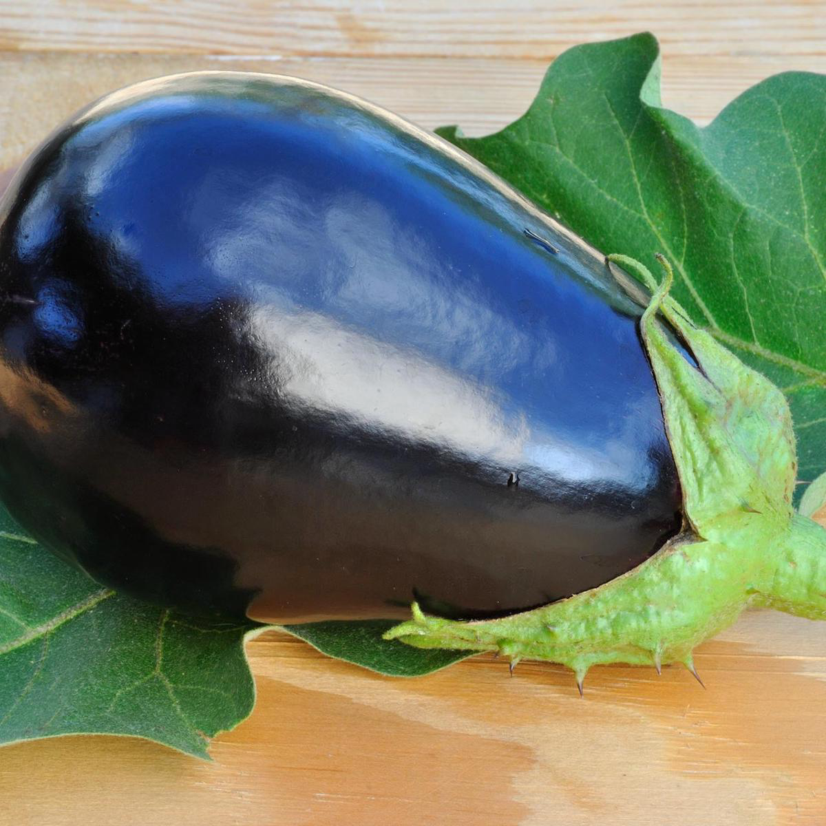 Black Beauty Eggplant (Solanum melongena)
