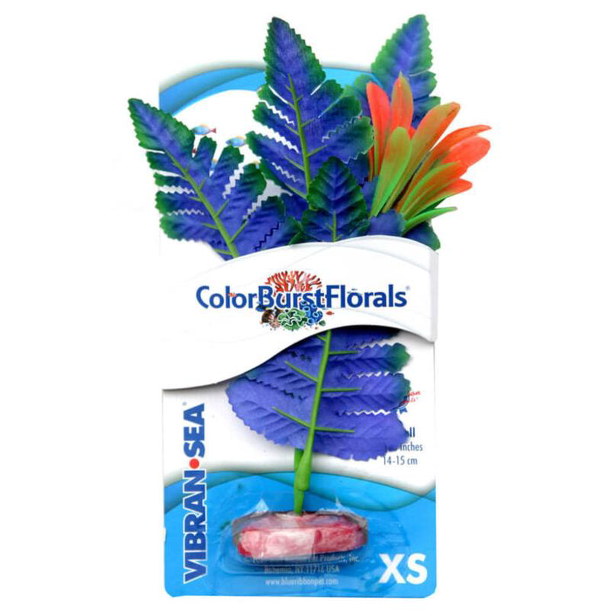 Blue Ribbon Colorburst Florals Butterfly Sword Plant