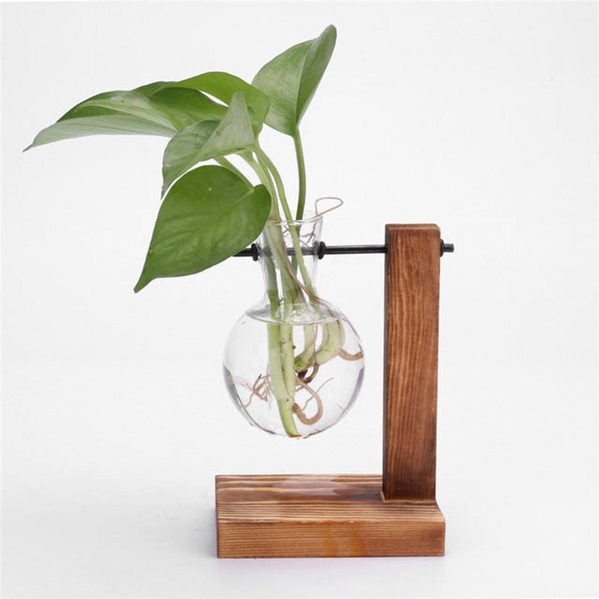 Glass and Wood Vase Planter 8211 Style 1