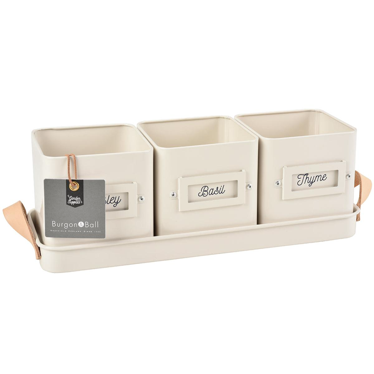 3 Herb Pots in a Leather Handled Tray 8211 Stone