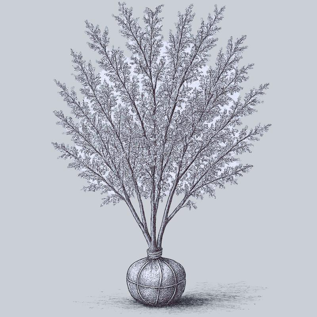 Paper Birch 20 Gallon