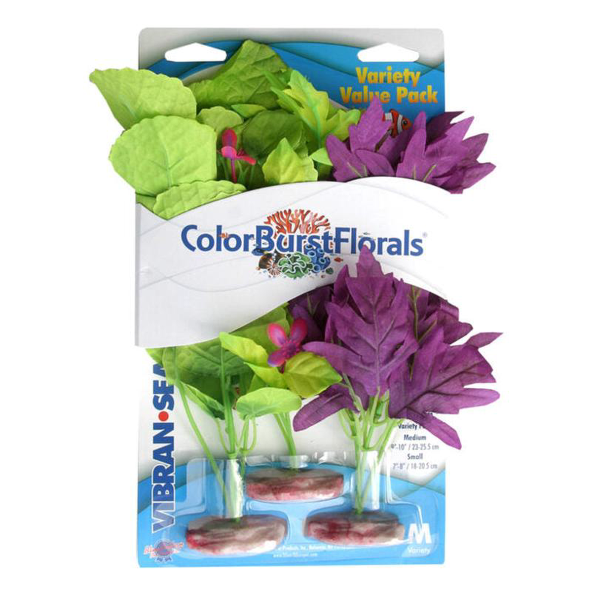 Blue Ribbon Colorburst Florals Amazon Flowering Cluster Variety Pack