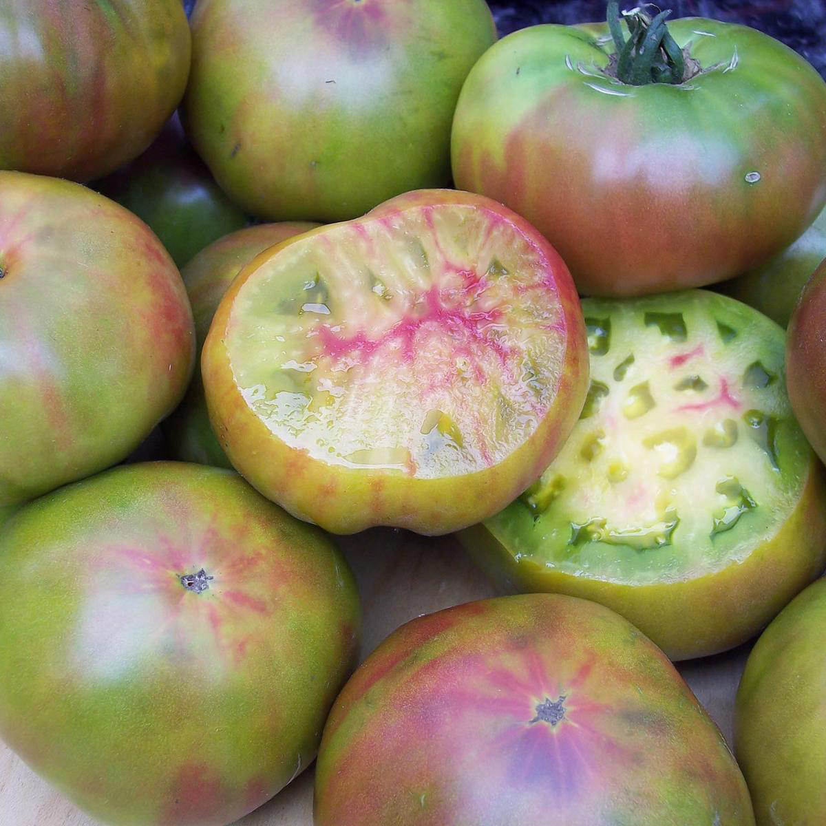 Black Pineapple Tomato (Solanum lycopersicum) Indeterminate
