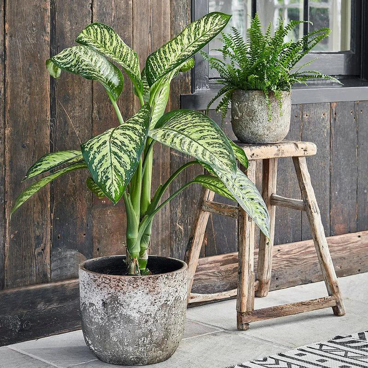 Albero Planter 26cm Height 28cm Dia
