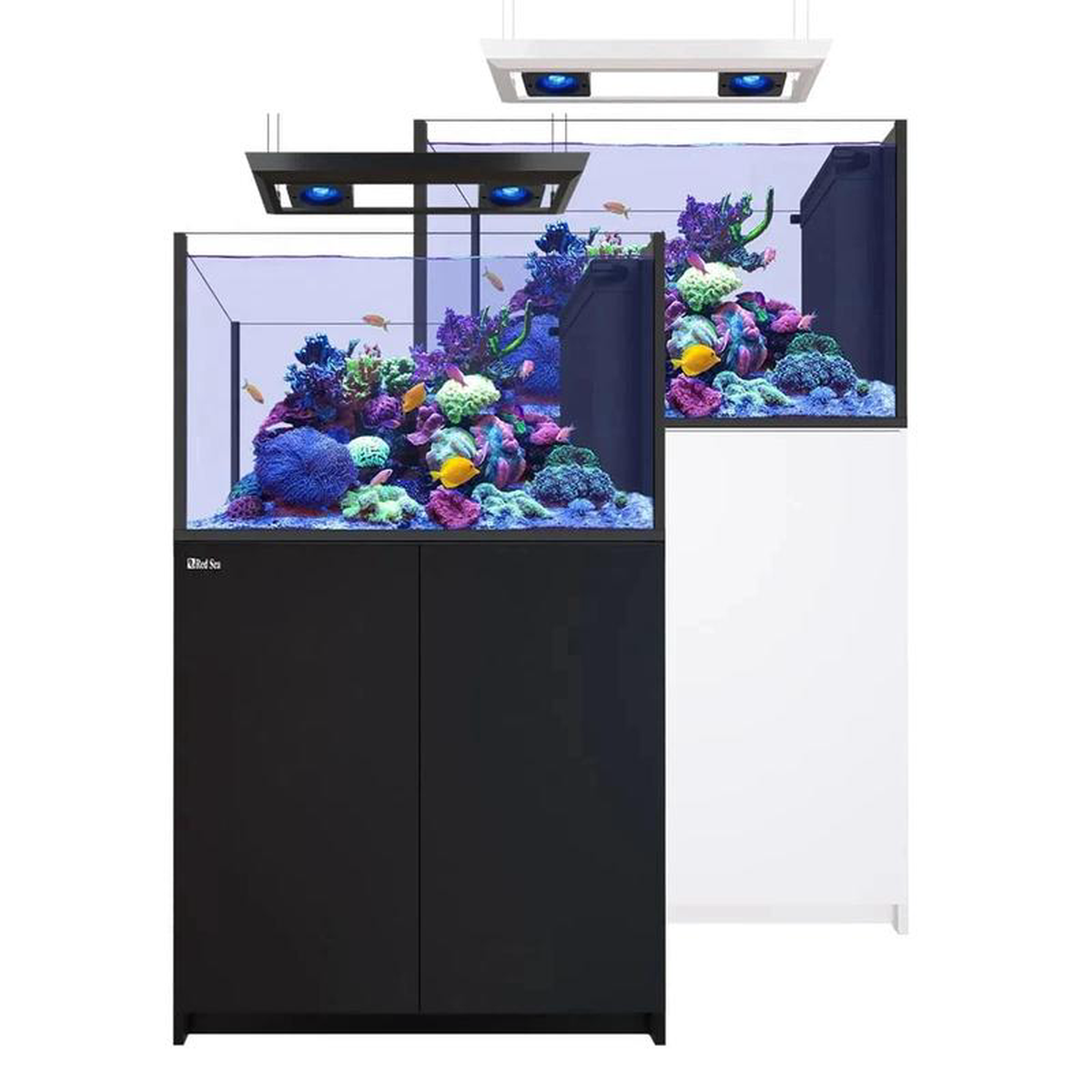 REEFER Deluxe Peninsula 350 G3 (93 Gal) (incl 2 x ReefLED 115) 8211 Red Sea