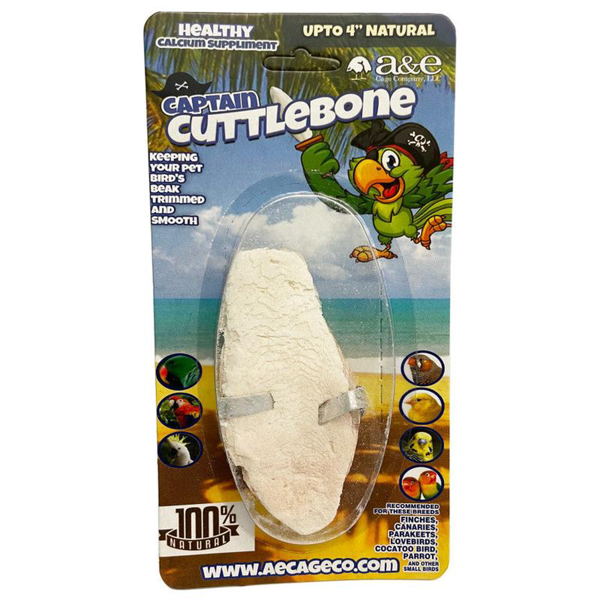 A038E Cages Natural Cuttlebone 4 inch