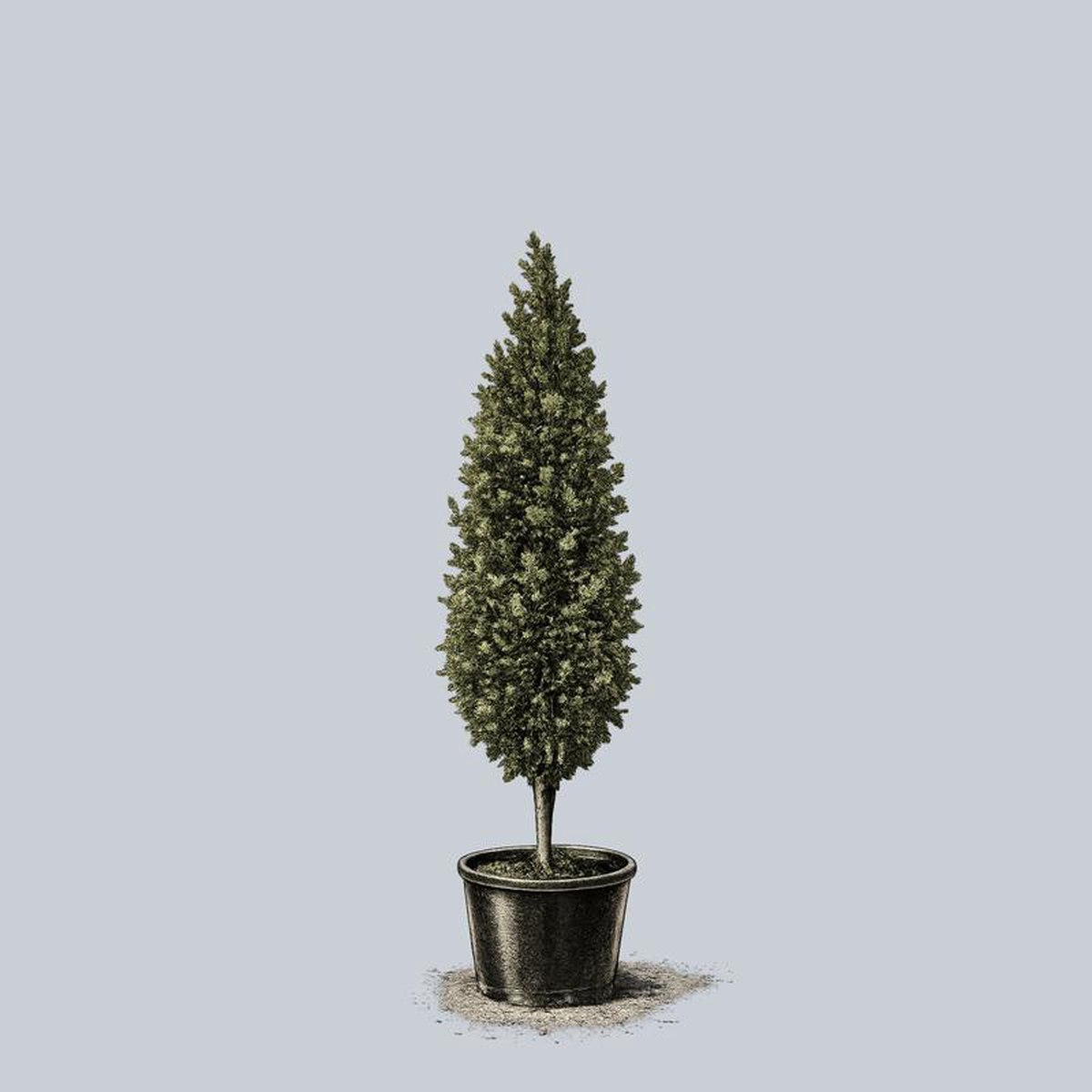 Kindred Spirit Oak 25 inch B038B