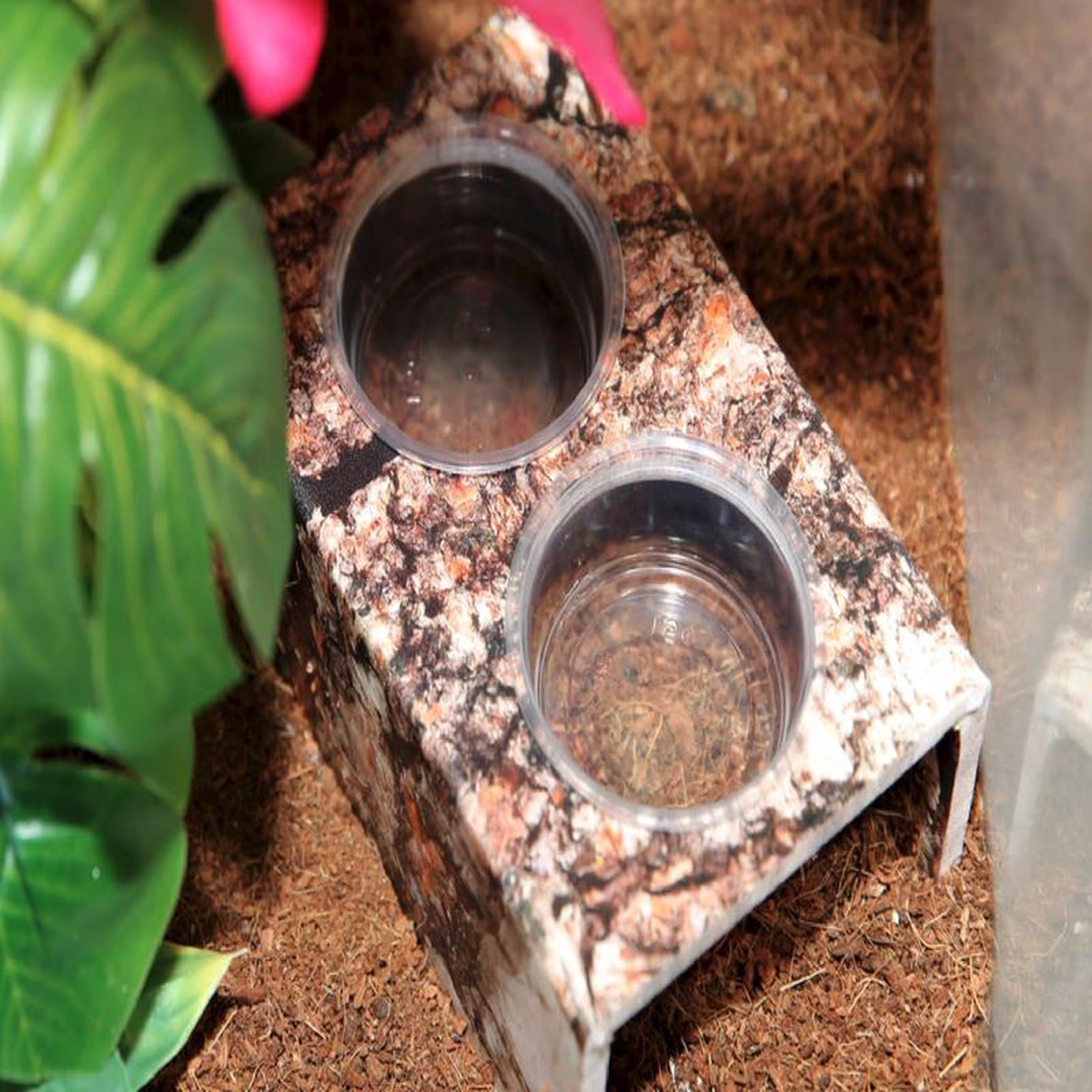 C3 Feeding Stand (Holds Two 15 oz Cups)