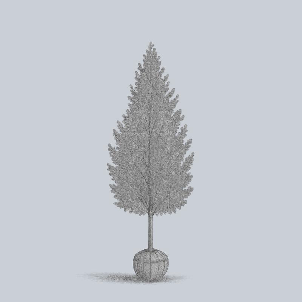 Dakota Pinnacle Birch 25 inch B038B