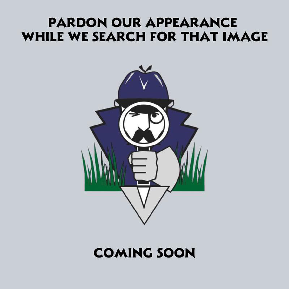 Lickety Split Philodendron 10 inch Pot