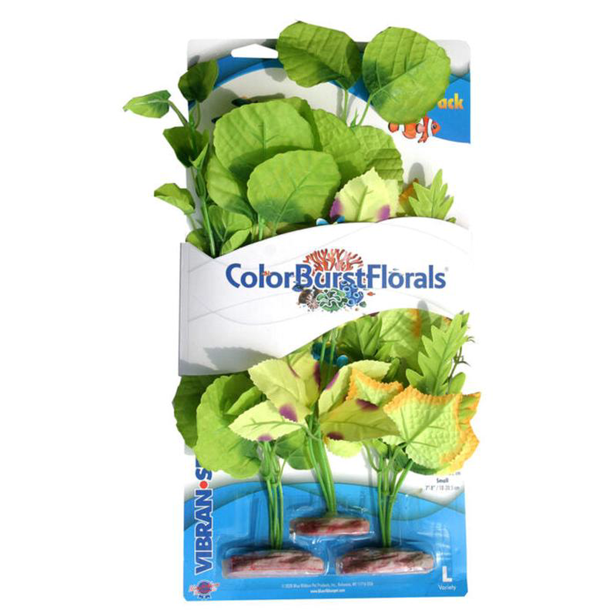 Blue Ribbon Colorburst Florals Broad Leaf Flowering Cluster Variety Pack