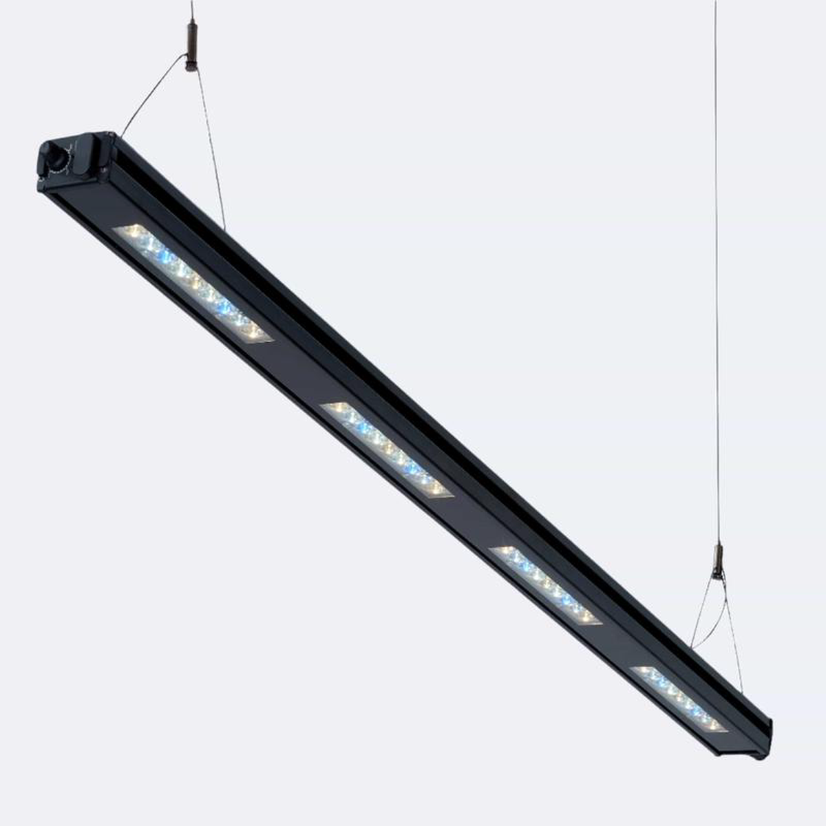 Edge 45 8211 Reef Breeders